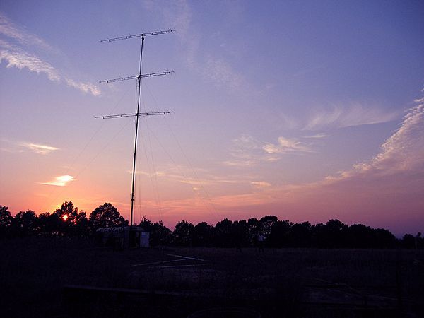 Click to see next picture