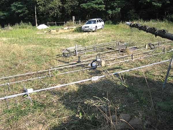 Click to see next picture