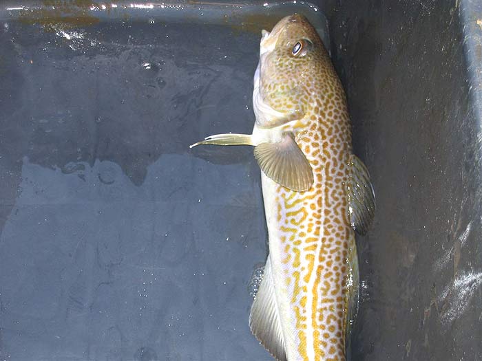 Click to see next picture